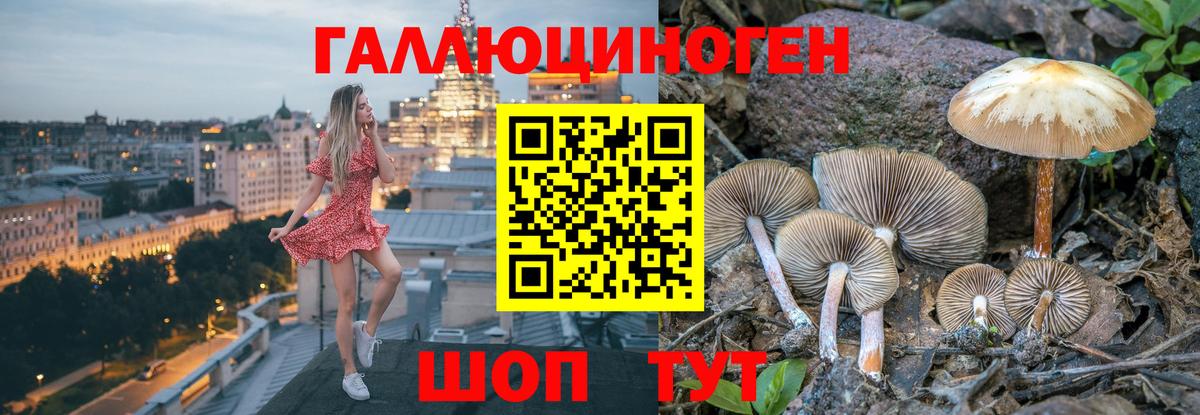 наркота  Галлюциногенные грибы мицелий  Вход с VPN  Мытищи  Галлюциногенные грибы мицелий 